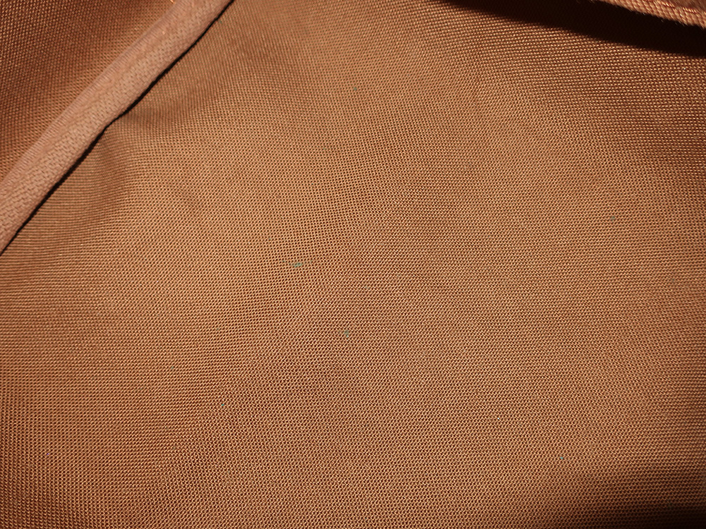 ルイヴィトン モノグラム スピーディ25 M41528 VI1902 内側ダメージ01