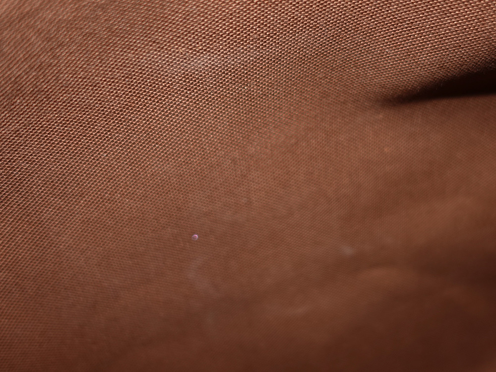 ルイヴィトン モノグラム スピーディ30 M41526 AA0045 内側ダメージ01